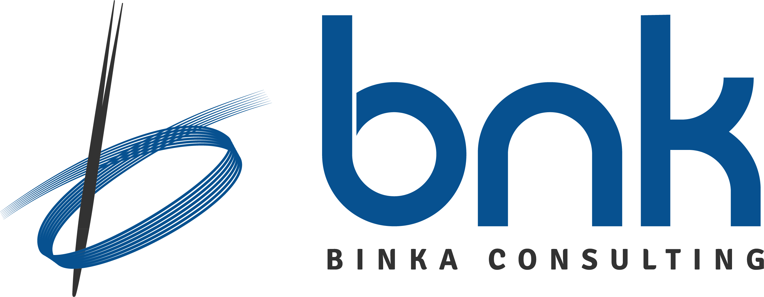 BNK – Visa & Consulting Service
